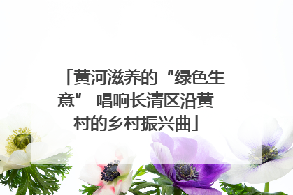 黄河滋养的“绿色生意” 唱响长清区沿黄村的乡村振兴曲
