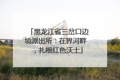 黑龙江省三岔口边境派出所：在界河畔，扎根红色沃土