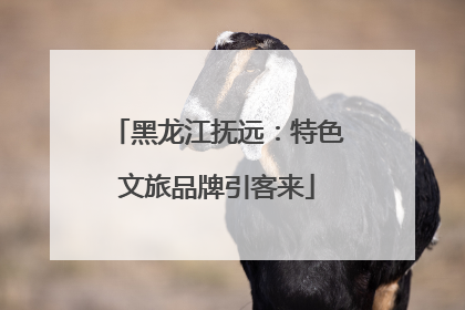 黑龙江抚远：特色文旅品牌引客来