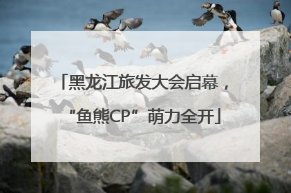 黑龙江旅发大会启幕，“鱼熊CP”萌力全开