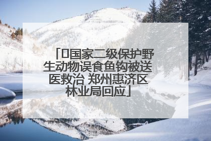 ﻿国家二级保护野生动物误食鱼钩被送医救治 郑州惠济区林业局回应