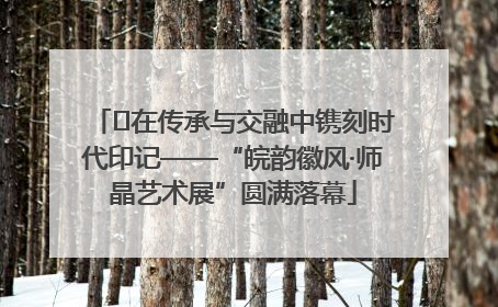 ﻿在传承与交融中镌刻时代印记——“皖韵徽风·师晶艺术展”圆满落幕