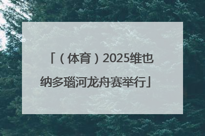 （体育）2025维也纳多瑙河龙舟赛举行