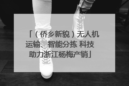 （侨乡新貌）无人机运输、智能分拣 科技助力浙江杨梅产销