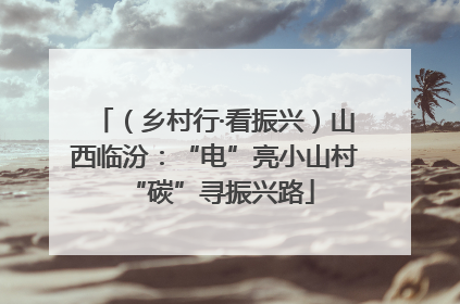 （乡村行·看振兴）山西临汾：“电”亮小山村 “碳”寻振兴路