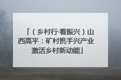 （乡村行·看振兴）山西高平：矿村携手兴产业 激活乡村新动能