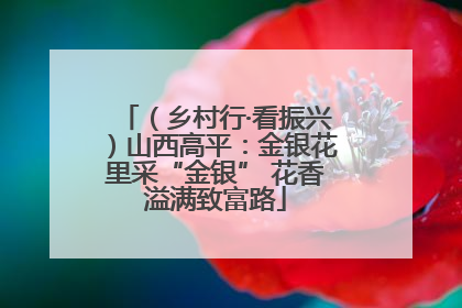 （乡村行·看振兴）山西高平：金银花里采“金银” 花香溢满致富路