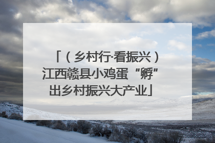 （乡村行·看振兴）江西赣县小鸡蛋“孵”出乡村振兴大产业