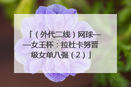 （外代二线）网球——女王杯：拉杜卡努晋级女单八强（2）