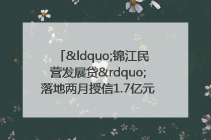 “锦江民营发展贷”落地两月授信1.7亿元，惠及118家民企