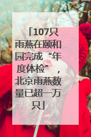 107只雨燕在颐和园完成“年度体检”，北京雨燕数量已超一万只