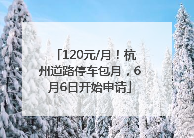 120元/月！杭州道路停车包月，6月6日开始申请
