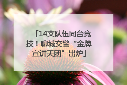 14支队伍同台竞技！聊城交警“金牌宣讲天团”出炉