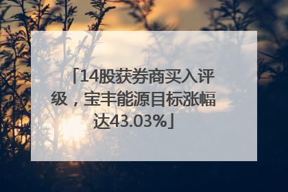 14股获券商买入评级，宝丰能源目标涨幅达43.03%