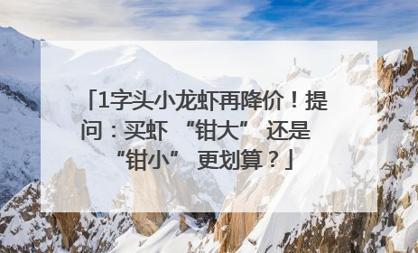 1字头小龙虾再降价！提问：买虾 “钳大” 还是 “钳小” 更划算？