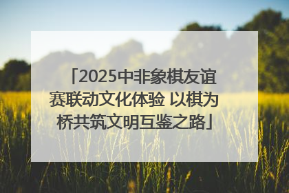 2025中非象棋友谊赛联动文化体验 以棋为桥共筑文明互鉴之路