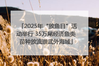 2025年“放鱼日”活动举行 35万尾经济鱼类苗种放流崇武外海域
