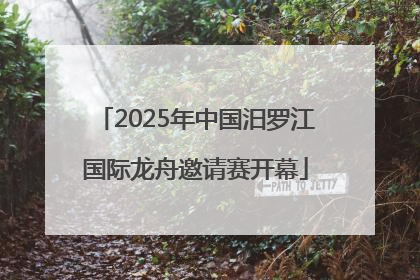 2025年中国汨罗江国际龙舟邀请赛开幕
