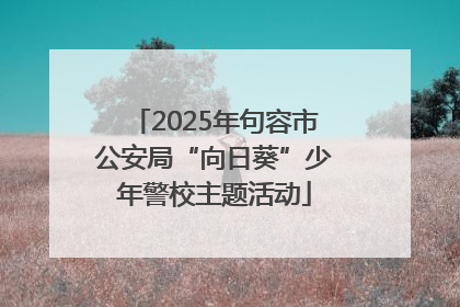 2025年句容市公安局“向日葵”少年警校主题活动