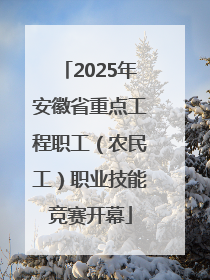 2025年安徽省重点工程职工（农民工）职业技能竞赛开幕