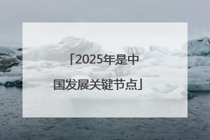 2025年是中国发展关键节点
