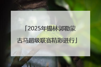 2025年锡林郭勒蒙古马超级联赛精彩进行