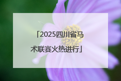 2025四川省马术联赛火热进行