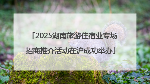 2025湖南旅游住宿业专场招商推介活动在沪成功举办