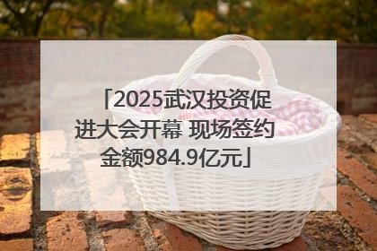 2025武汉投资促进大会开幕 现场签约金额984.9亿元