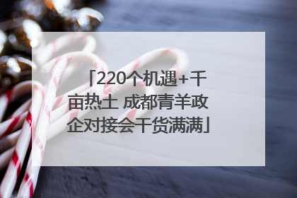 220个机遇+千亩热土 成都青羊政企对接会干货满满