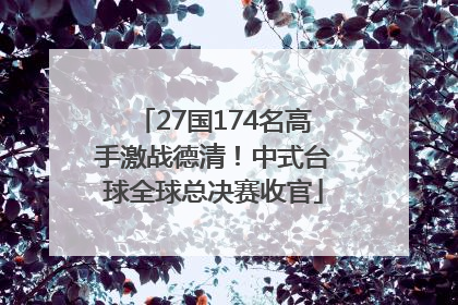 27国174名高手激战德清！中式台球全球总决赛收官