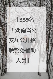 339名！湖南省公安厅公开招聘警务辅助人员