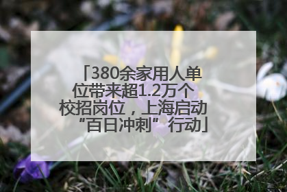 380余家用人单位带来超1.2万个校招岗位，上海启动“百日冲刺”行动