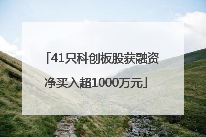 41只科创板股获融资净买入超1000万元