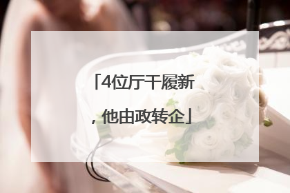4位厅干履新，他由政转企