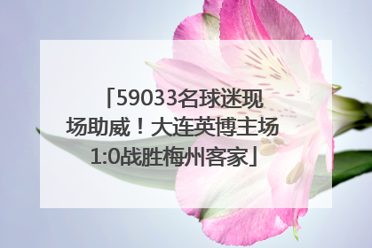 59033名球迷现场助威！大连英博主场1:0战胜梅州客家
