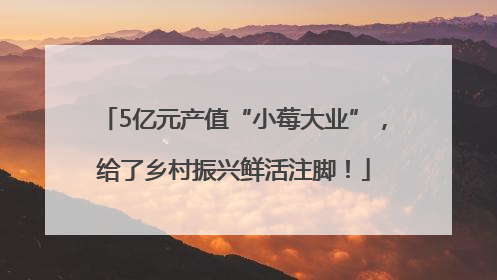 5亿元产值“小莓大业”，给了乡村振兴鲜活注脚！
