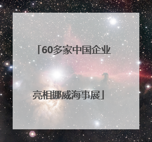 60多家中国企业亮相挪威海事展
