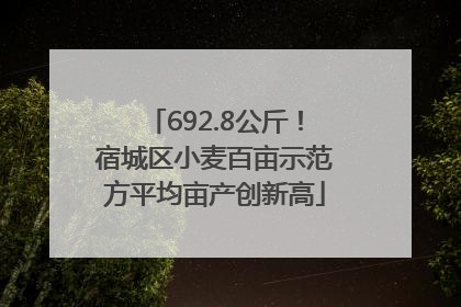 692.8公斤！宿城区小麦百亩示范方平均亩产创新高