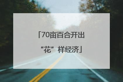70亩百合开出“花”样经济