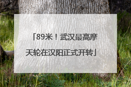 89米！武汉最高摩天轮在汉阳正式开转