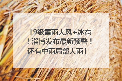 9级雷雨大风+冰雹！淄博发布最新预警！还有中雨局部大雨