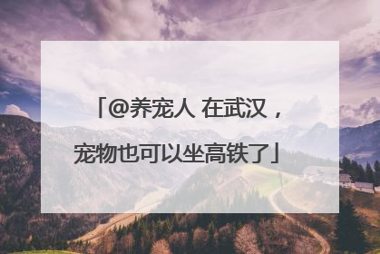 @养宠人 在武汉，宠物也可以坐高铁了