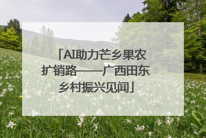 AI助力芒乡果农扩销路——广西田东乡村振兴见闻