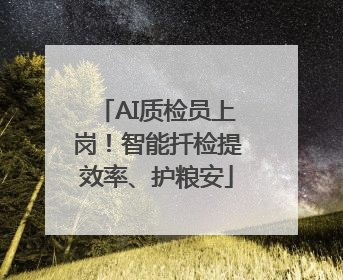 AI质检员上岗！智能扦检提效率、护粮安