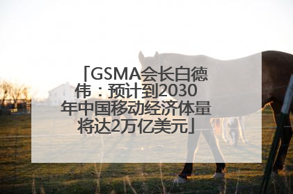 GSMA会长白德伟：预计到2030年中国移动经济体量将达2万亿美元